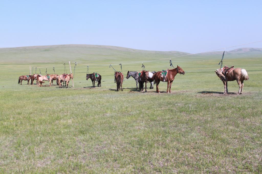 Nomad Horse Camp Guest House Nalayh Exterior photo